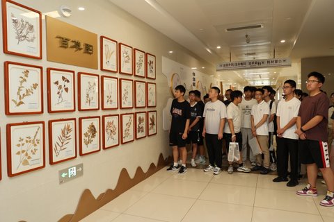 BM7A0148-1.JPG